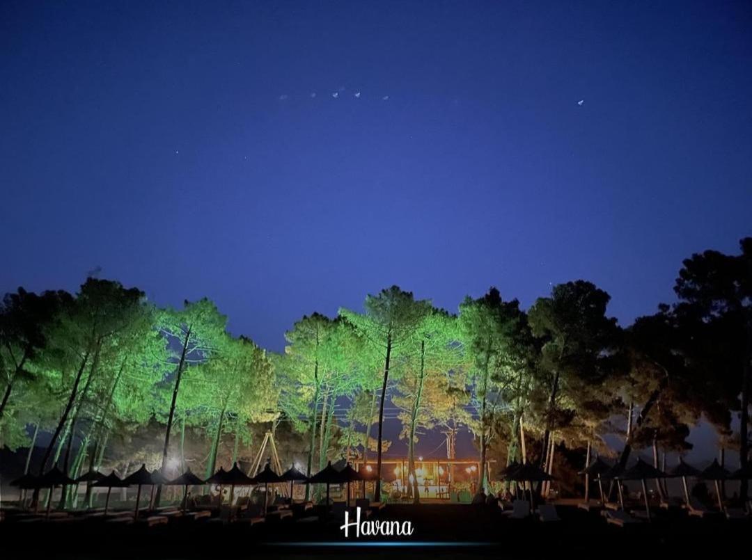 Havana House Sakes Luaran gambar